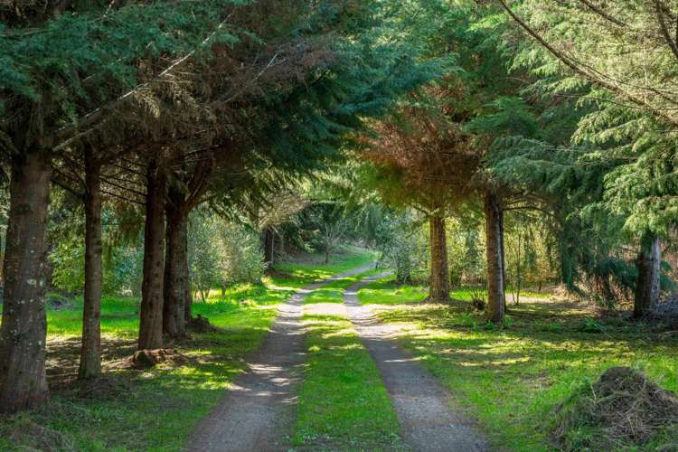 514 State Highway 1 Wairakei And Surrounds_35