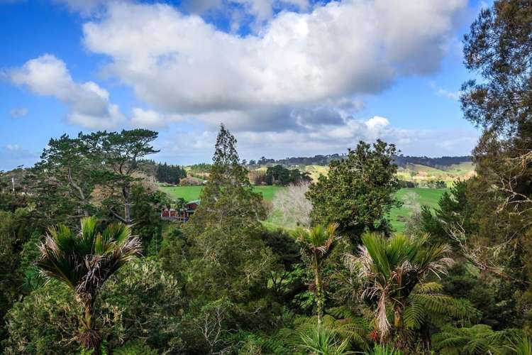 173 Whitehills Road Waitoki_19