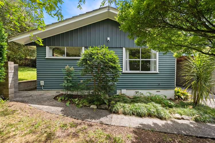 30 Kowhai Street Hamilton Lake_11