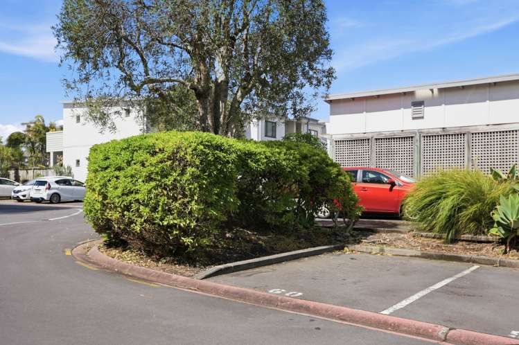 60/92 Bush Road Albany_19