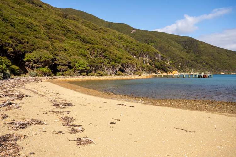 Lot 4 + 5 Te Aroha Bay, Otanerau Bay Marlborough Sounds_52