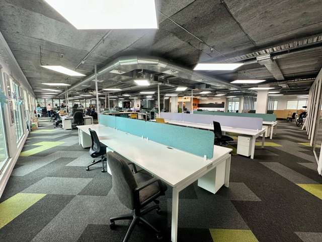 16 Normanby Road Mt Eden_2