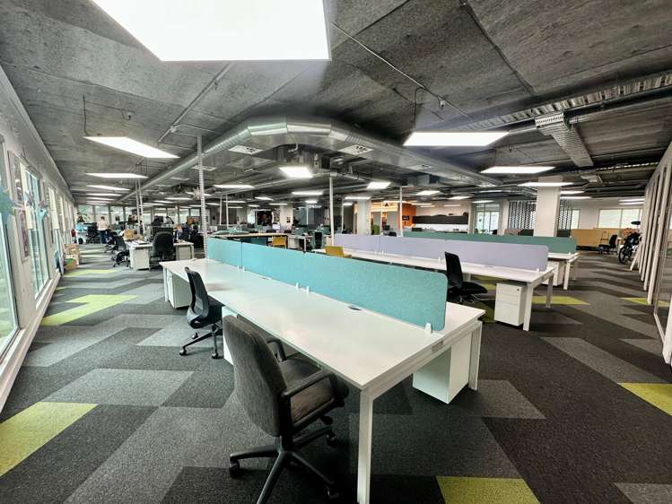 16 Normanby Road Mt Eden_2