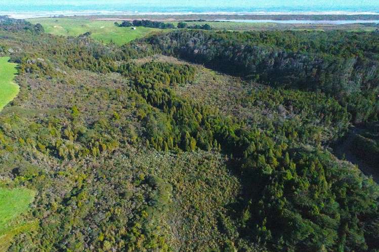 5/1290 Tanglefern Row Charleston_7