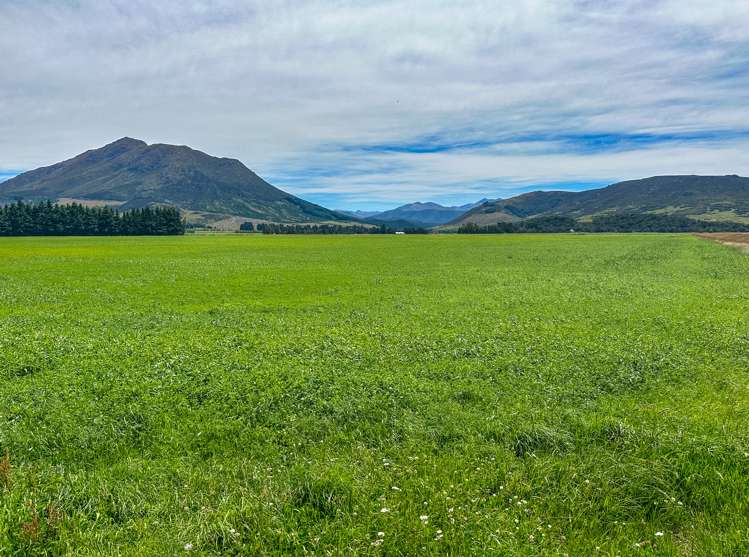 164 Oswald Road Te Anau Surrounds_10
