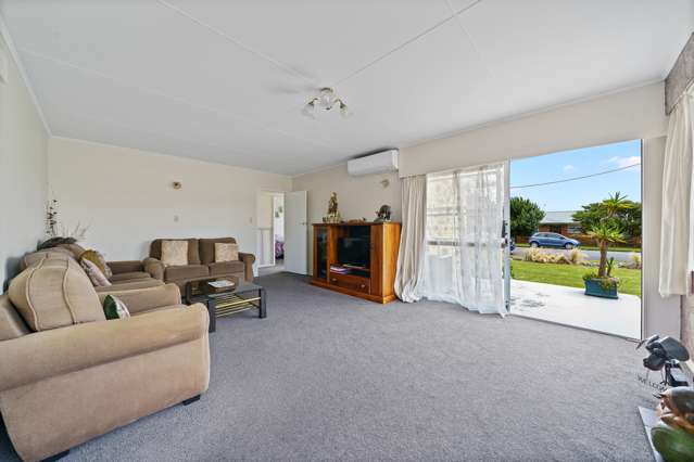 21 Reeve Street Levin_3