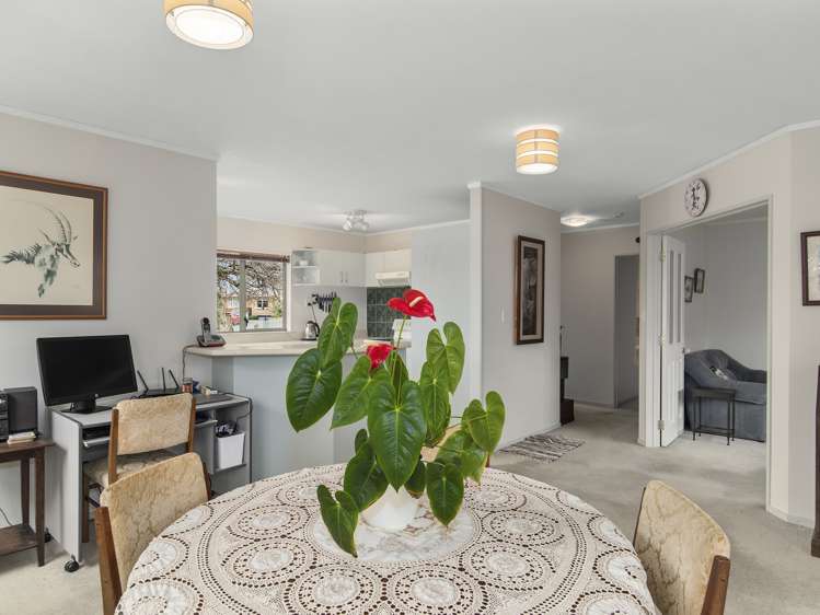 15a Sinclair Street Greerton_8