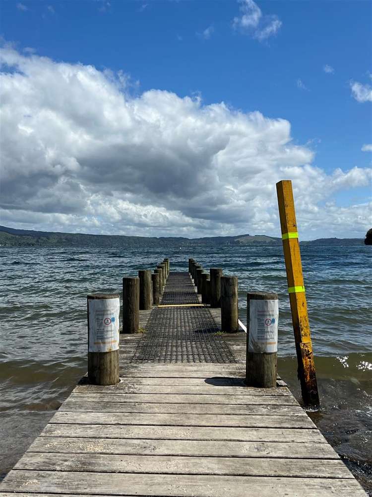 60 Tamatea Street Rotoiti Forest_14