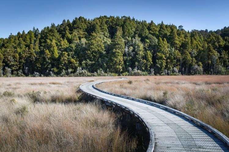 Racecourse Residential Subdivision Hokitika_15