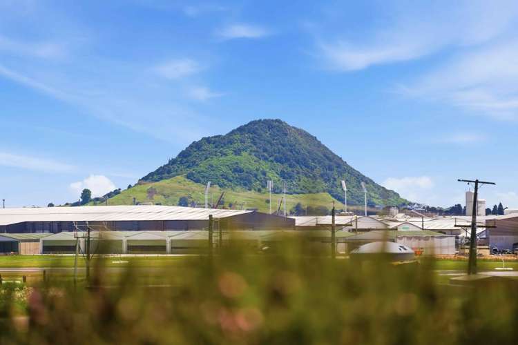 17A Claridge Place Mount Maunganui_22