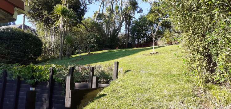 43 Evans Road Glen Eden_3