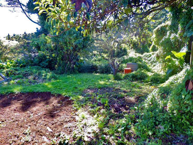 17 Joseph Street Pukemiro_17