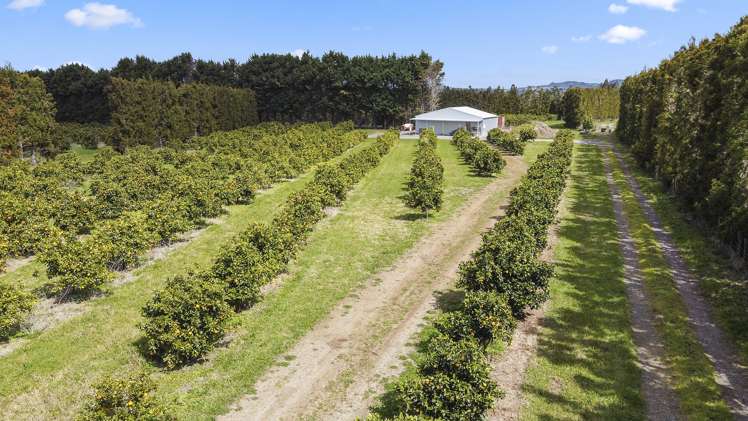 908 Te Ahu Ahu Road Waimate North_14