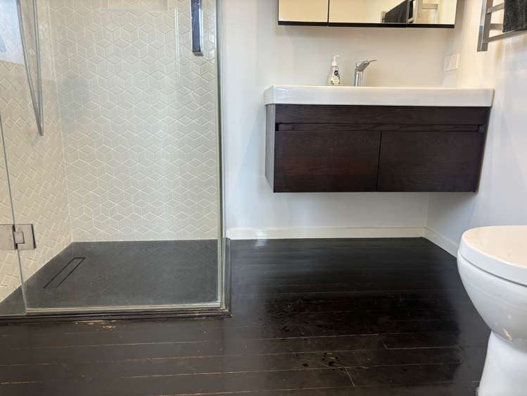 118 Matipo Road Te Atatu Peninsula_5