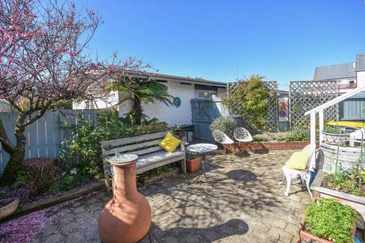 205b Forbury Road Saint Clair_15