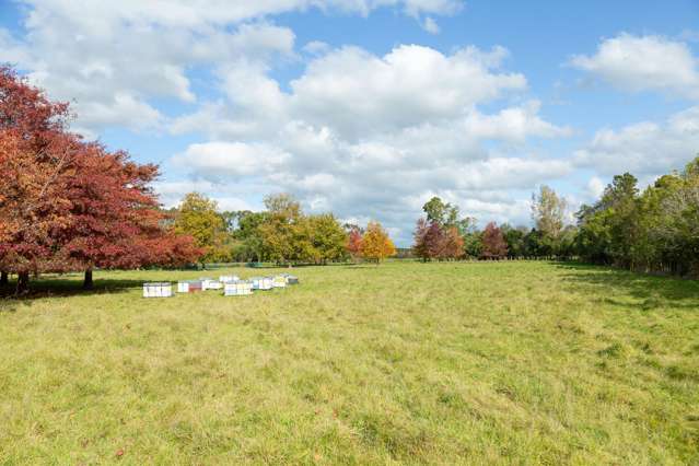 Lot 2, 30 Market Road Greytown_2