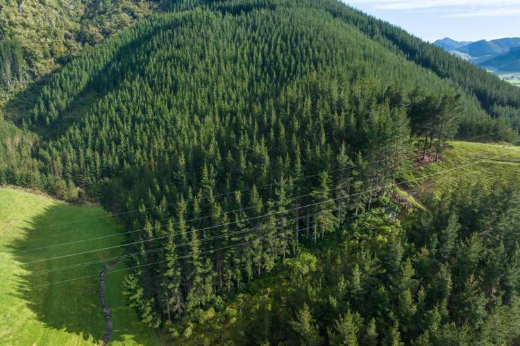 Lot 2, Maungatapu Road Pelorus Bridge_20