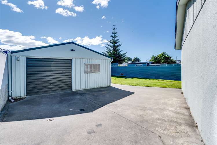 56 Alexander Avenue Onekawa_19