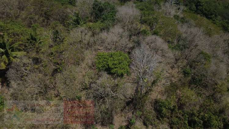 Address withheld Savusavu_6
