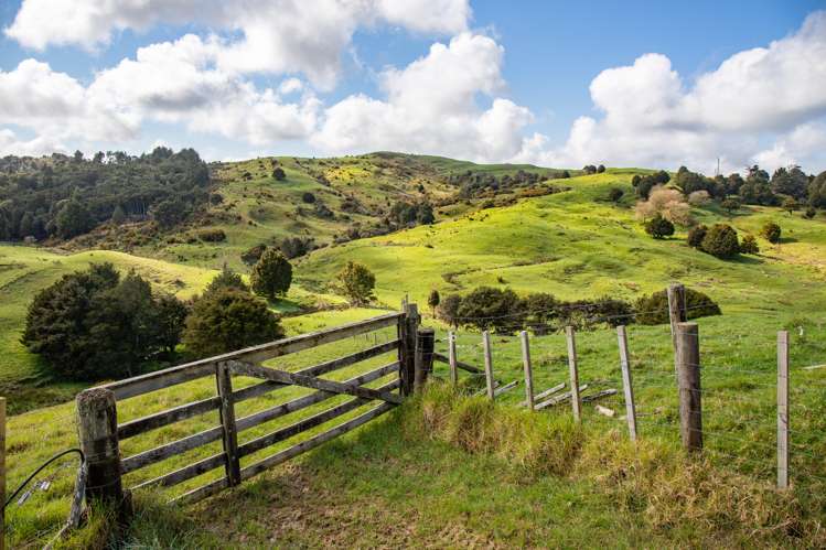 164 Arcadia Road Paparoa_18