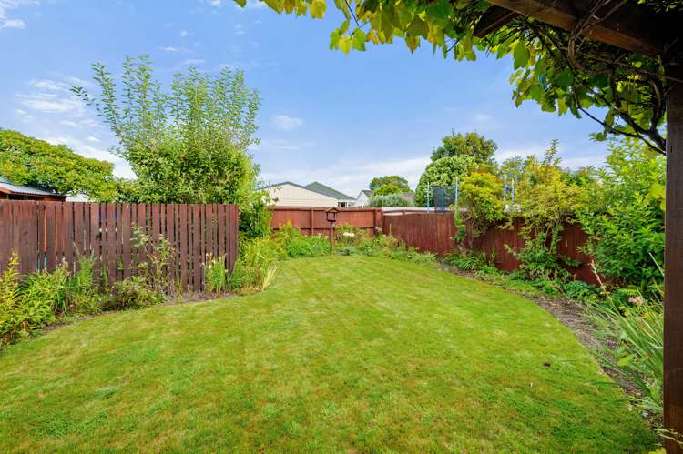 2/203 Main North Road Redwood_14