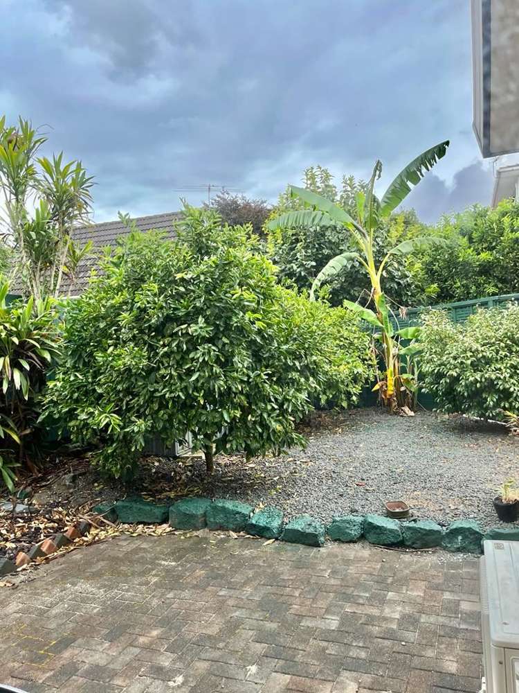 B/6 Fowlds Avenue Sandringham_19