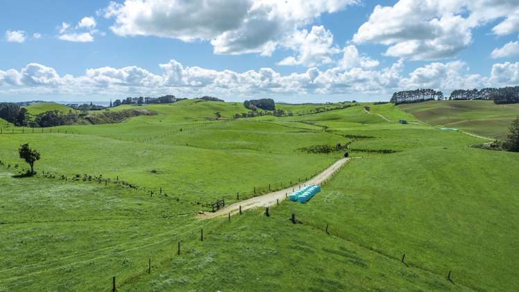 146 Fuller Road South Head_11