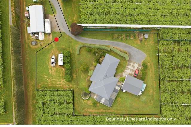 Escape, embellish and enjoy!