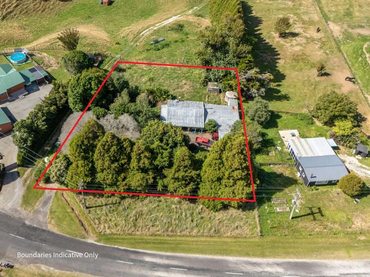 807 Whakamarama Road Whakamarama_6