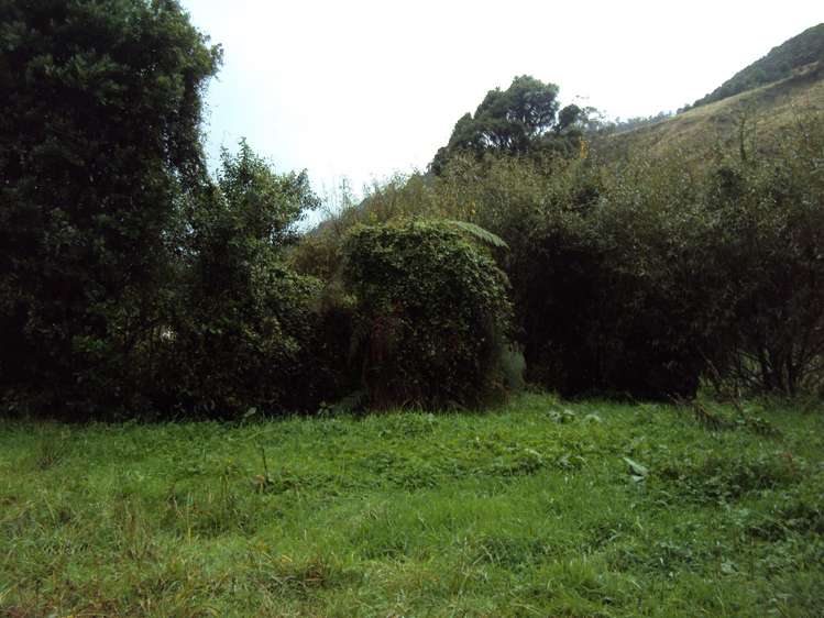 858 Shwy 67 Nikau Kahurangi National Park_6