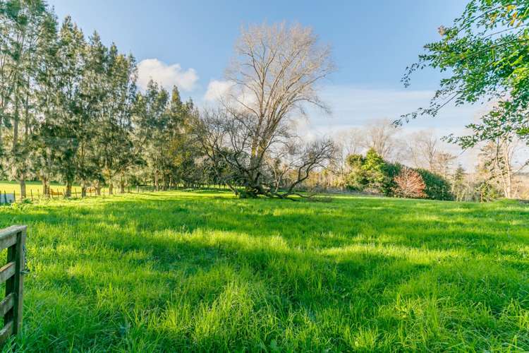 99 Postman Road Dairy Flat_32