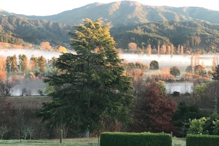 273 College Street Motueka_29