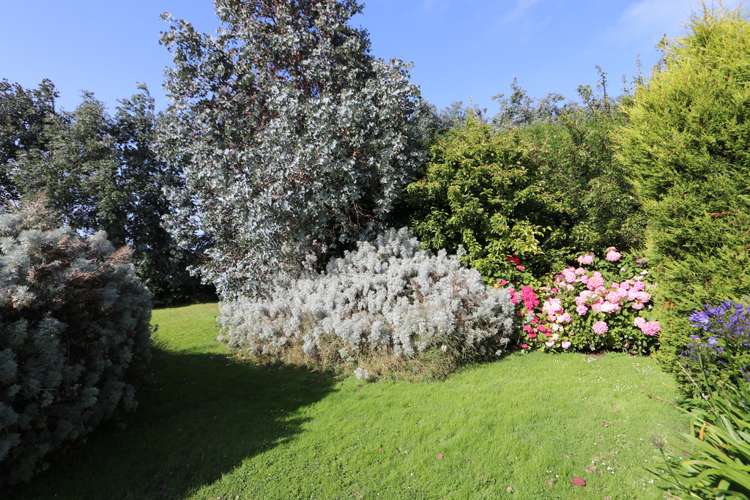 2435 Bluff Highway Bluff_12