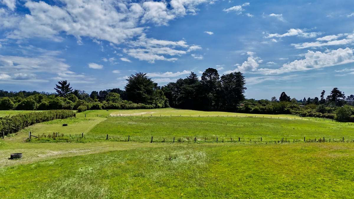 114 Dudley Road Upper_2