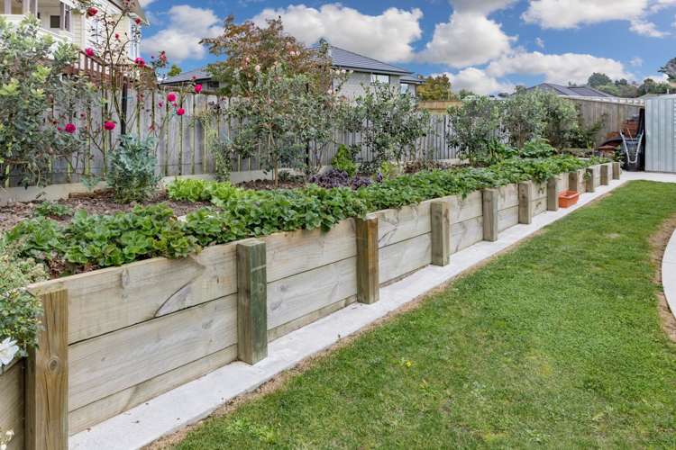 6 Arkle Avenue Te Kauwhata_8