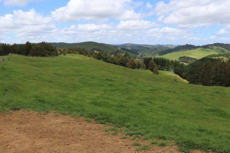 25 Gully Road Pukemiro_11