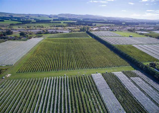 288 Georges Road Amberley_2