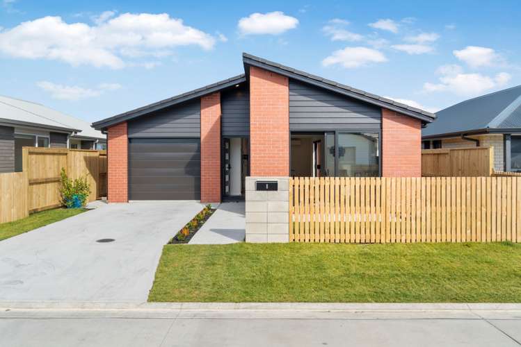 8 Friesian Way Papamoa_21