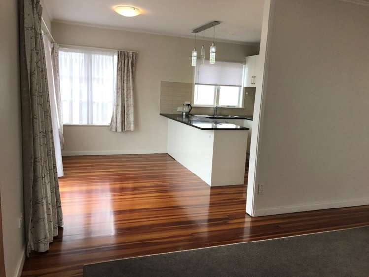 39 Morningside Drive Mount Albert_20