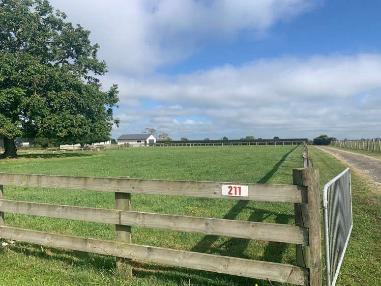 211 Tower Road Matamata_14