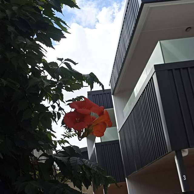 31 Seddon Road Frankton_2