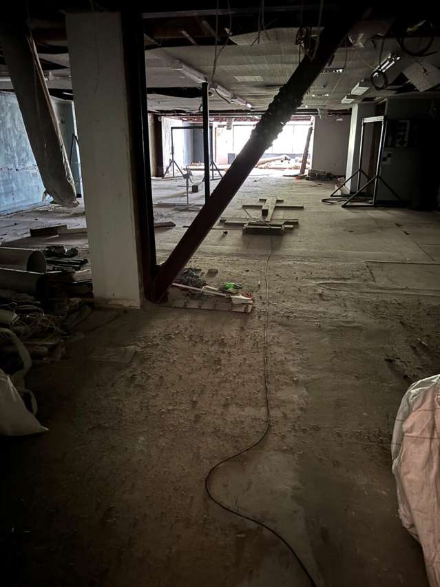 186 Oxford Street Levin_1