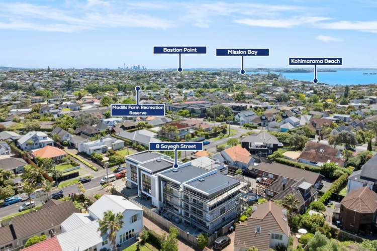 8A Sayegh Street St Heliers_37