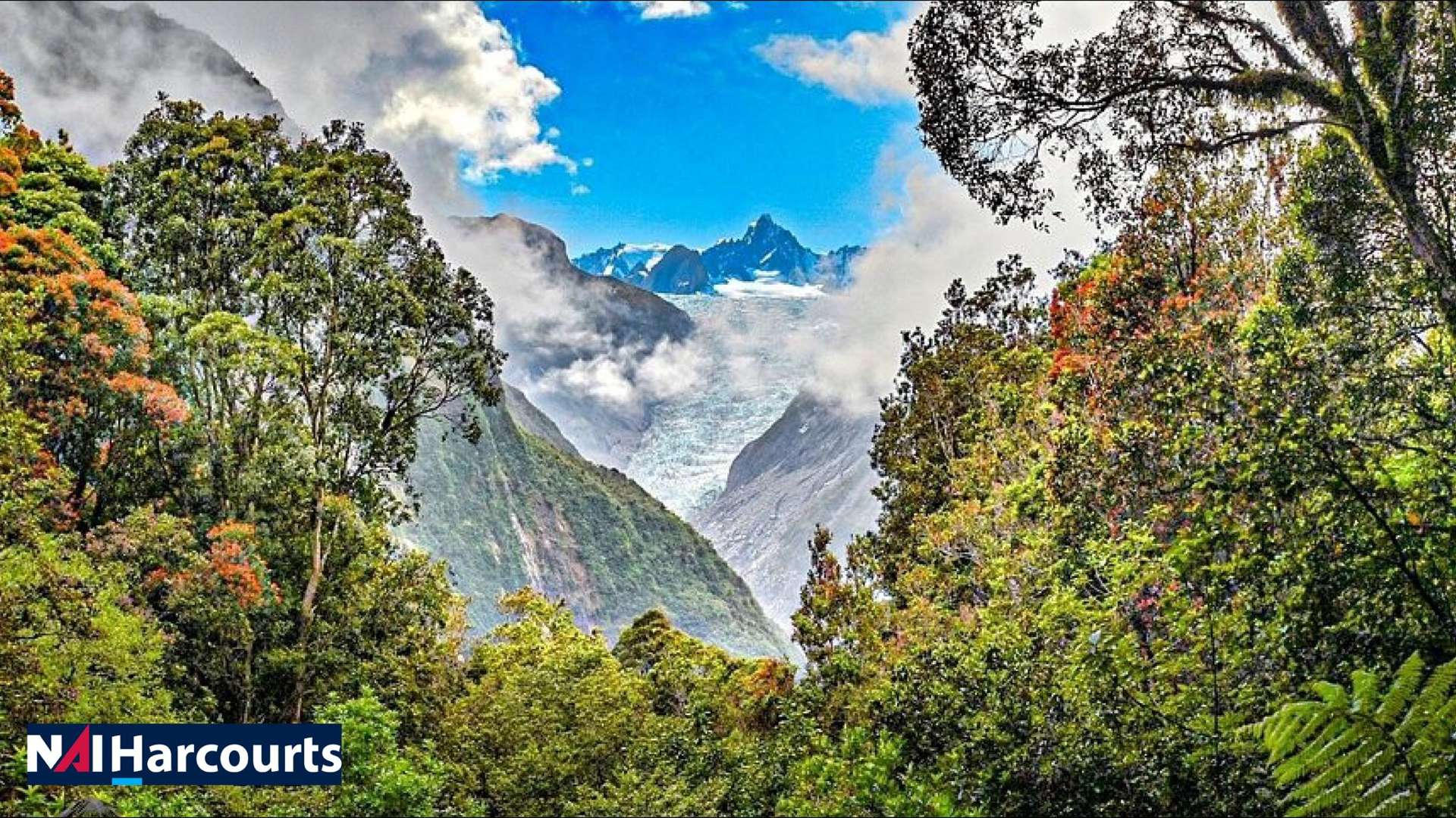 Betsey Jane Eatery & Bar Fox Glacier_0