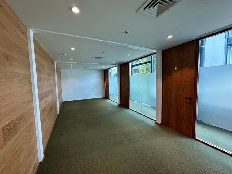 5 Crummer Road Grey Lynn_3