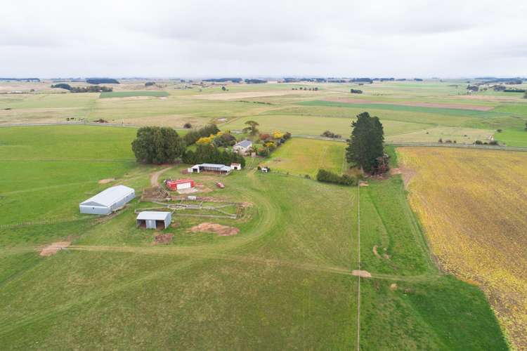 63b Sligo Terrace Roslyn_14