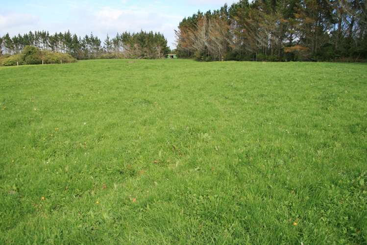 2105 Hastings Road Mahoe_21