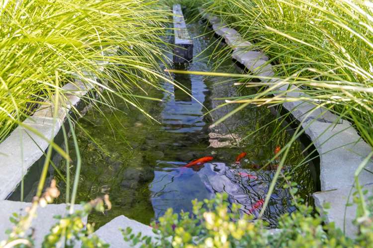 40 Diamond Lane Riverhead_34