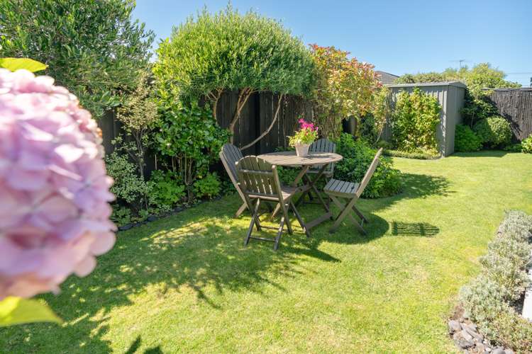 36a Ellesmere Avenue Miramar_17