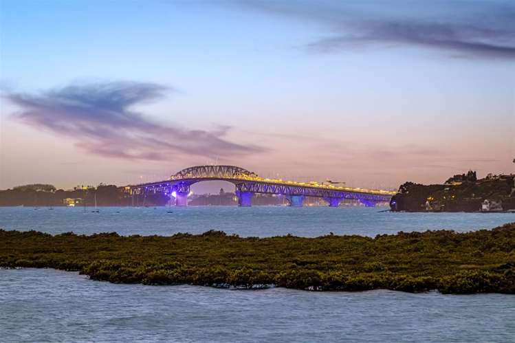 37 Johnstone Street Point Chevalier_3